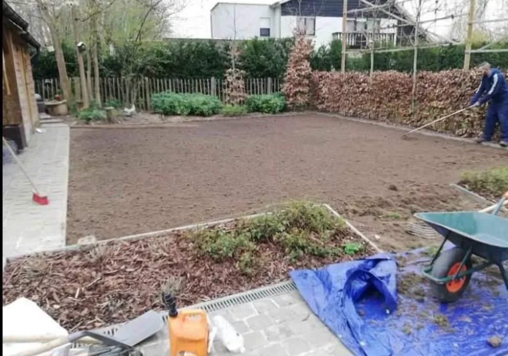 481094518_639281502034501_1931394836622237410_n