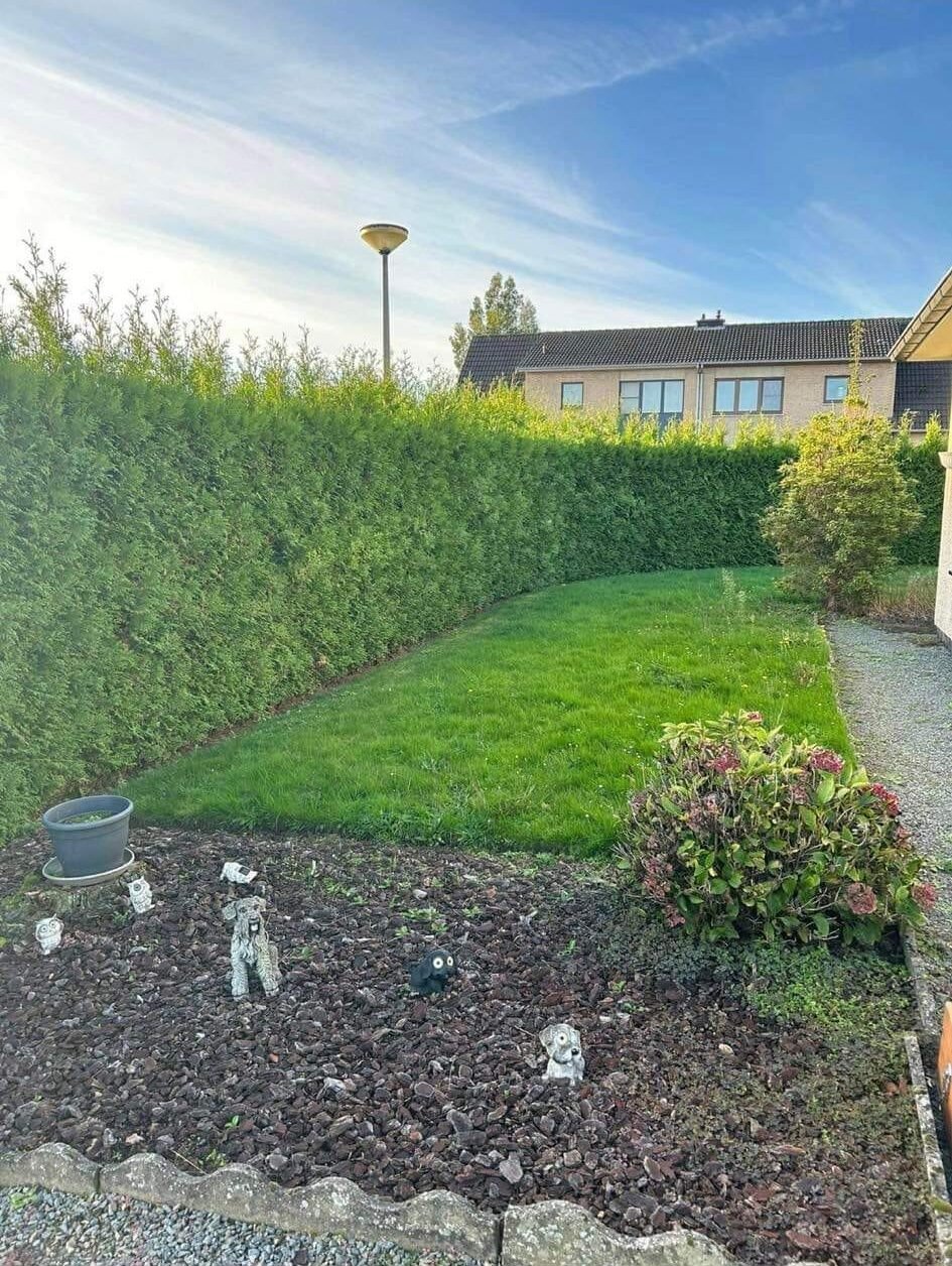 WhatsApp Image 2025-05-25 at 23.10.09 (6)