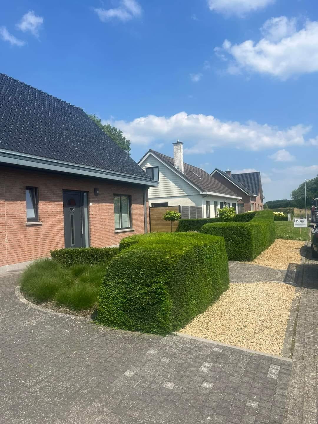 WhatsApp Image 2025-05-25 at 23.10.10 (1)